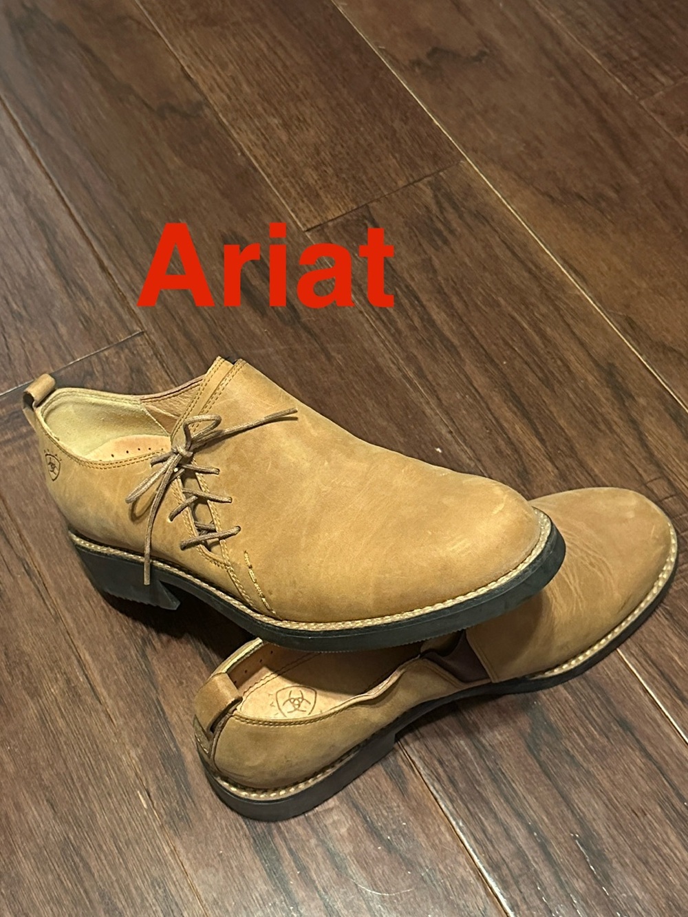 Ariat | “Wicklow” Suede Side-Lace Oxford - Women’s 9.5B